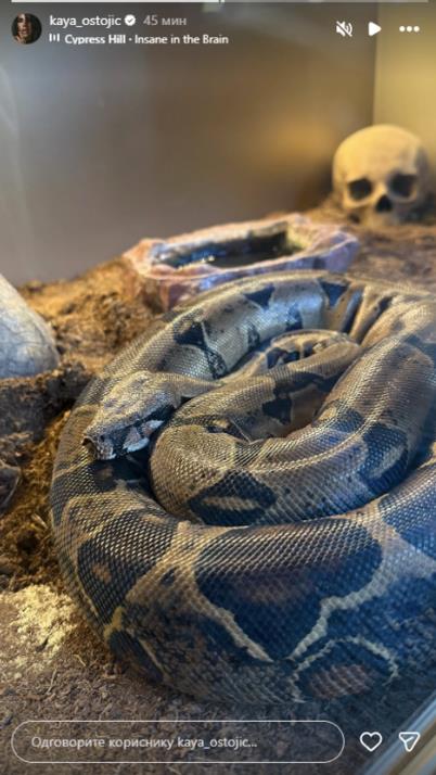 Kaja Ostojić u stanu čuva zmiju