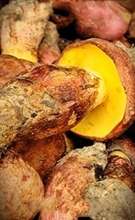 Screenshot 2026-02-03 073356.png