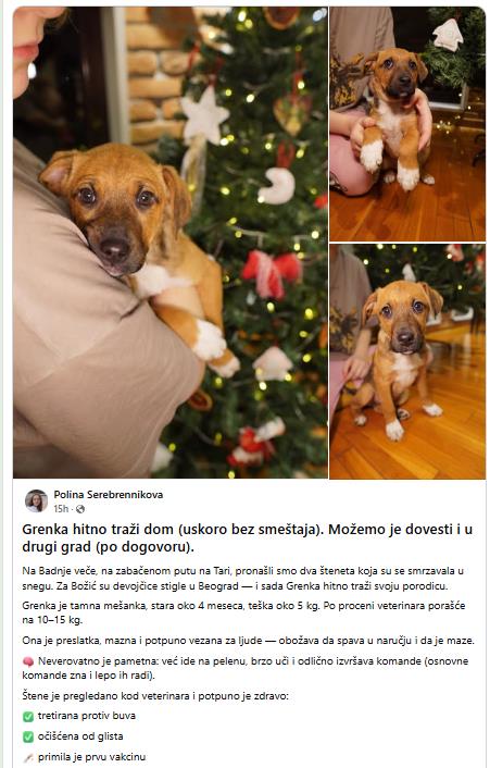 Screenshot 2026-02-04 094554.png