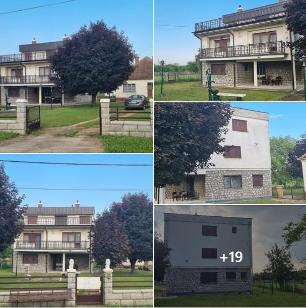 Screenshot 2026-02-05 113635.jpg