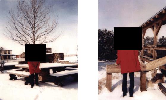 Screenshot 2026-02-19 123415.jpg