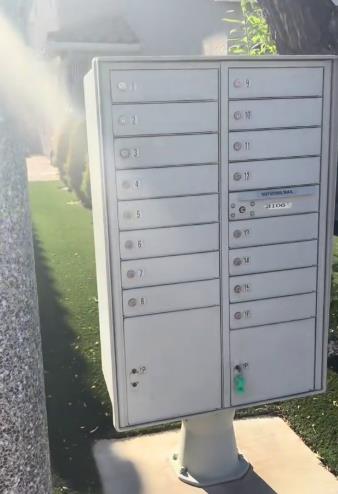 Čarli iz Las Vegasa