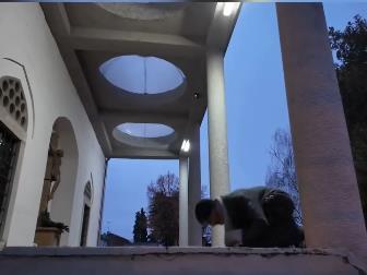 Screenshot 2026-03-07 124038.png