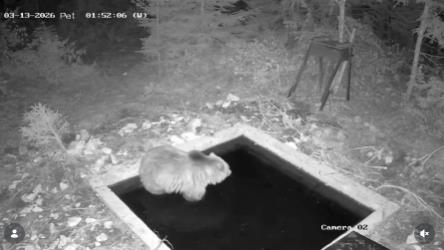 Screenshot 2026-03-16 085916.png