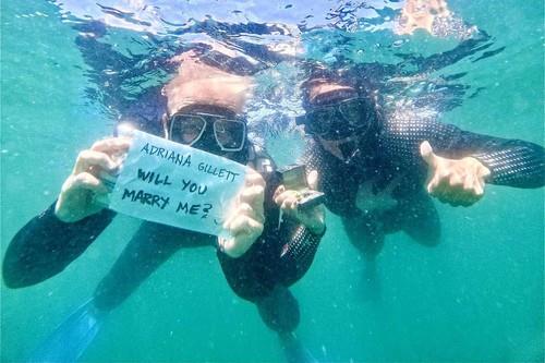 2516129?ts=2026-03-17T19:14:50