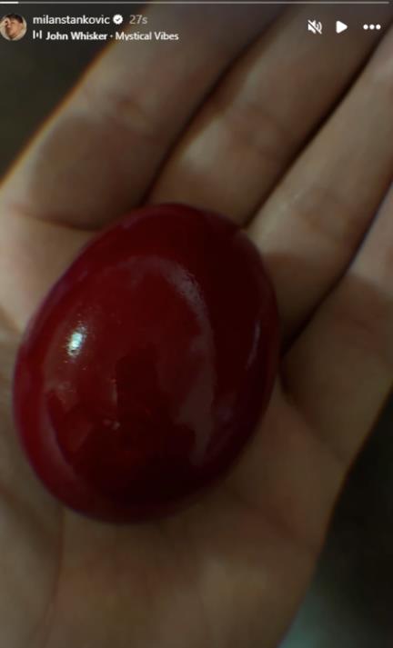 Milan Stanković se oglasio