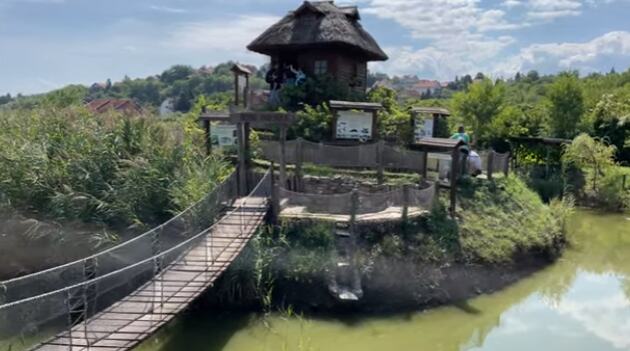 Mali Dunav Radmilovac (11).png