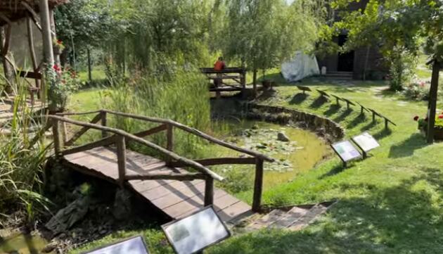 Mali Dunav Radmilovac (1).png