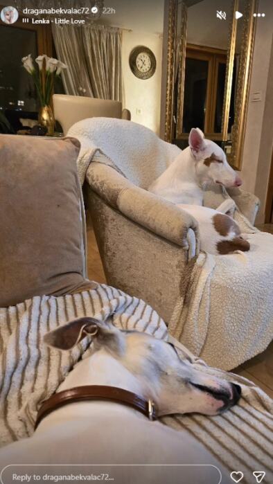 Screenshot 2026-04-30 212932.jpg