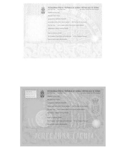 pasos (2).png