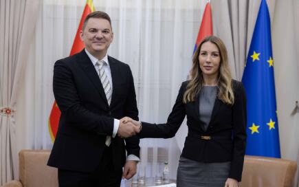 Dubravka Đedović Handanović