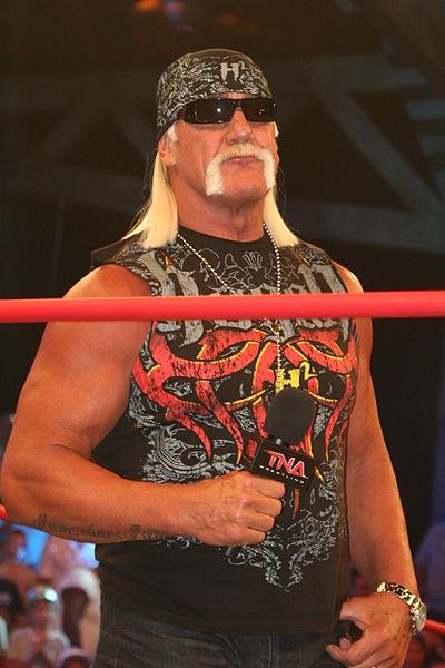 hulk-hogan-vikipedija.jpg