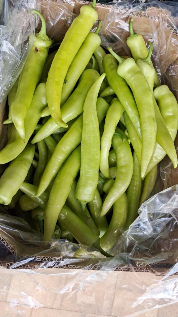 PIJACSAD4.jpg