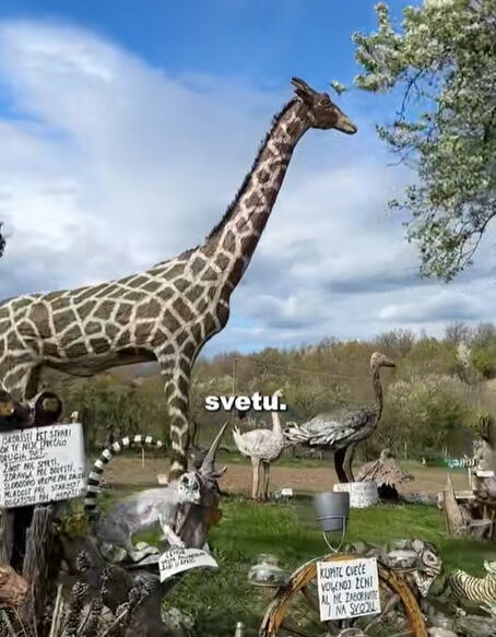 drveni zoo4.jpg