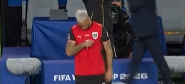 Arnautović 1.jpg