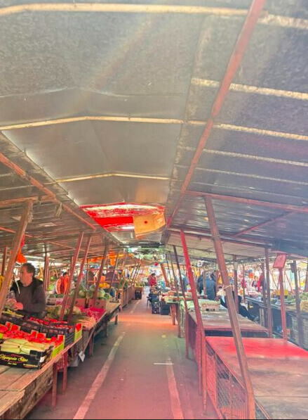 pijaca Sremska Mitrovica