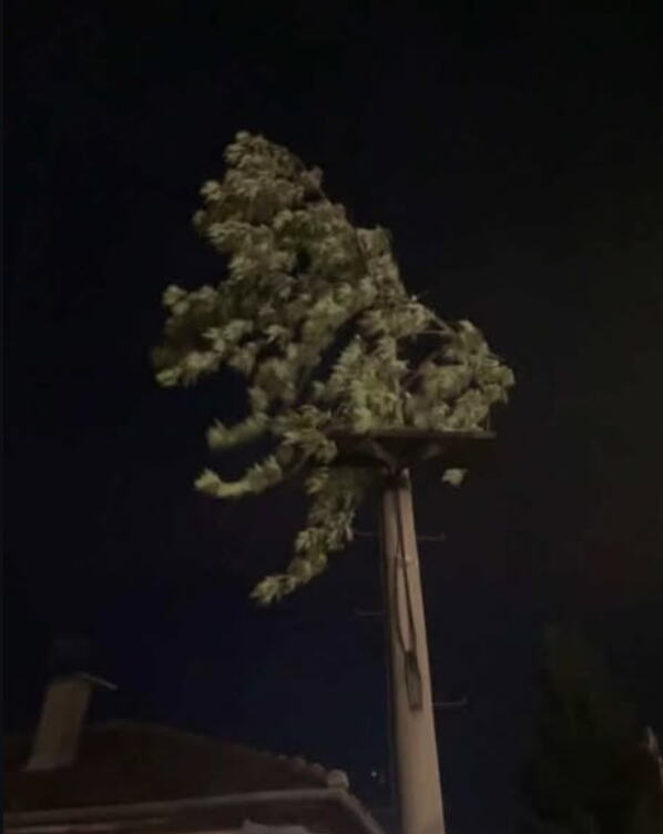 nevreme (1).png