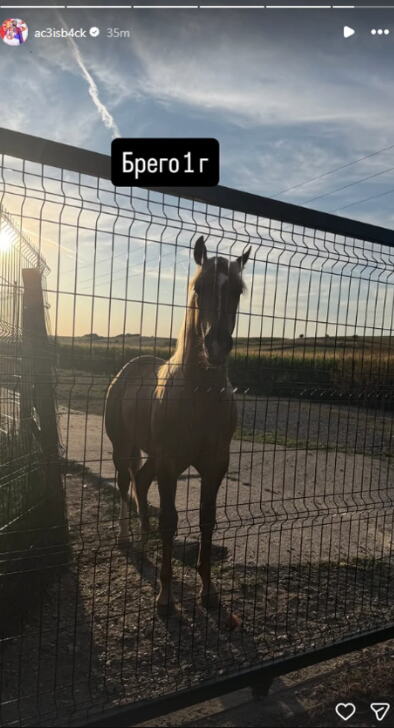 Screenshot 2026-07-26 084613.png