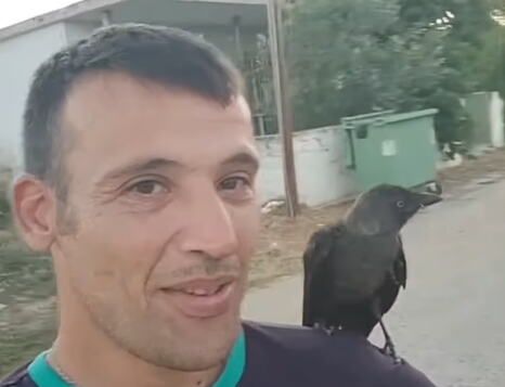 Čavka Babis sa vatrogascem Anestisom koji ju je spasao nakon povrede krila.PNG