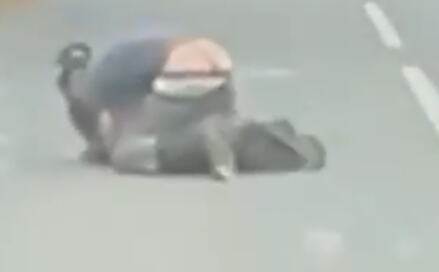 rvanje odbegli emu Velika Britanija (7).png