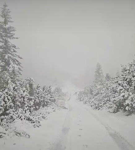 sneg na žabljaku i durmitoru (4).png