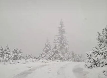 sneg na žabljaku i durmitoru (1).png