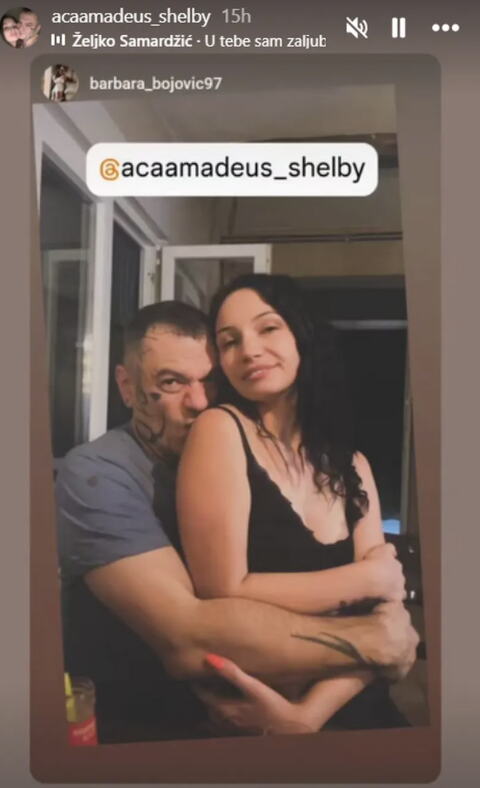 Aca Amadeus sa verenicom