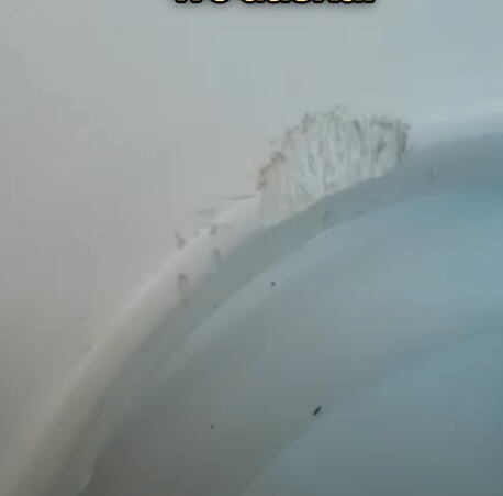 Ana Ljubisavljević pokazala kako joj je pacov izgrizao dasku na WC šolji (1).PNG