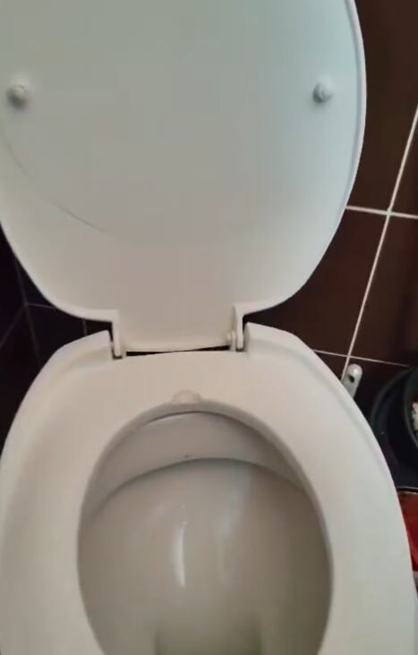 Ana Ljubisavljević pokazala kako joj je pacov izgrizao dasku na WC šolji (1).PNG