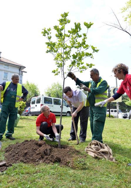 park-rozali-morton-uredjenje-ambasada-sad.jpg