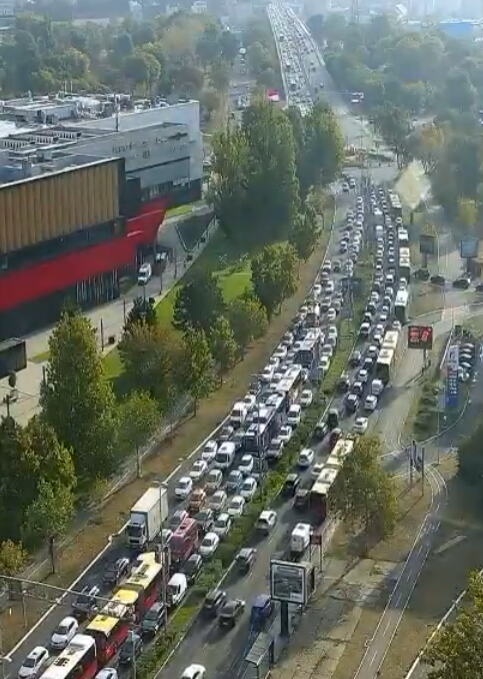 Jutarnji špic