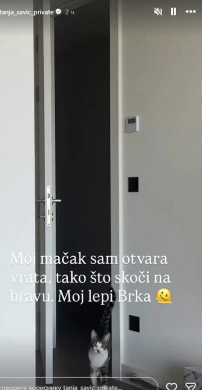 Screenshot 2026-10-14 184655.png