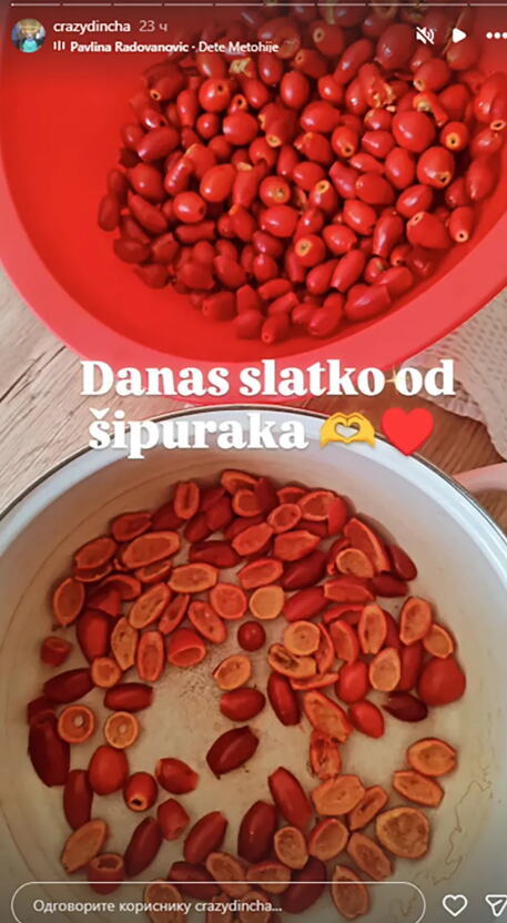 Snimak ekrana 2026-10-22 135251.png