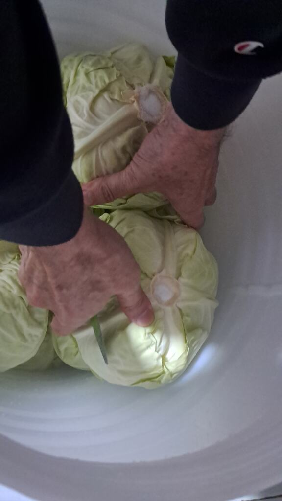 kupus na pijaci u Vranju