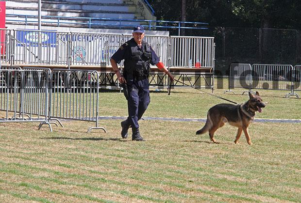 ceca-koncer-sarajevo-policija.jpg