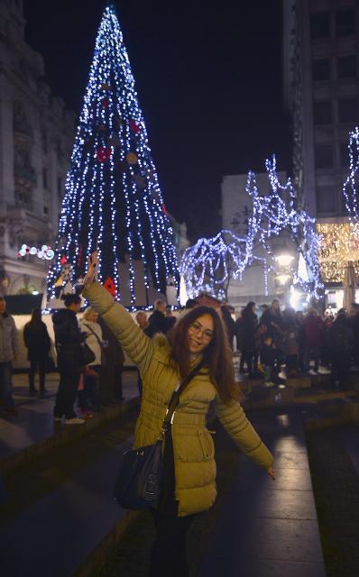 novogodisnja-jelka-osvetljenje-paraznici-beograd.jpg