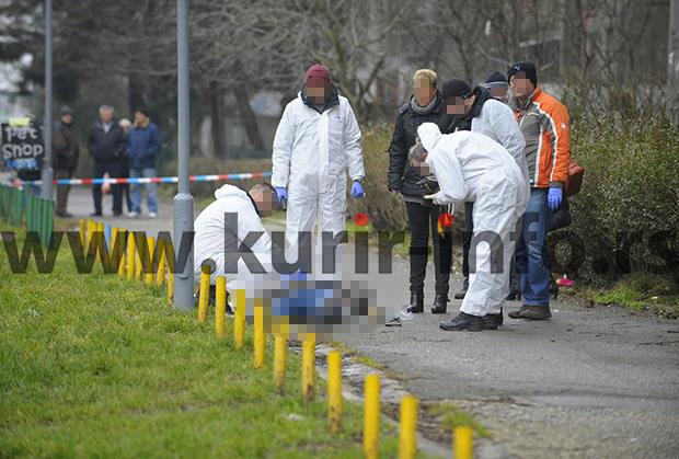 ubistvo-novi-beograd-mladic.jpg