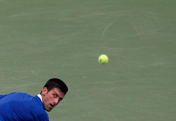 djokovic1.jpg