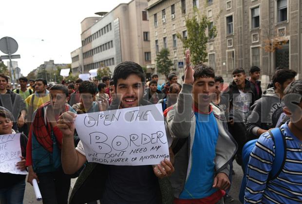 migranti-protest-zemun.jpg