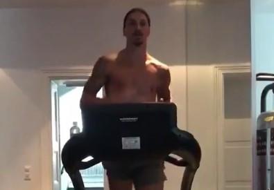 ibra.jpg