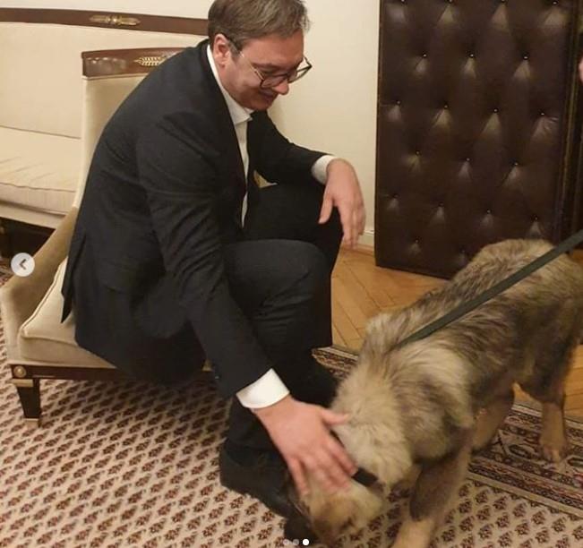 vucic-poklon-pas-foto-instagram.jpg