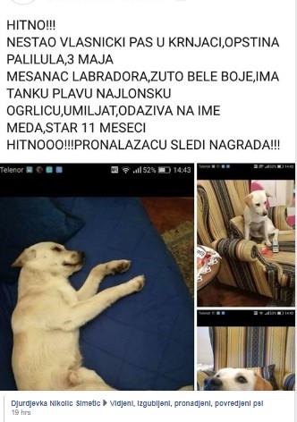 pas-izgubljen-beograd-foto-fb-pt.jpg