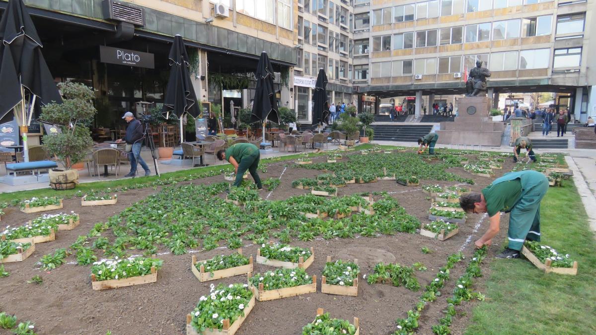 Gradsko zelenilo na Platau