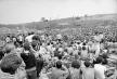 woodstock-foto-ap-4.jpg