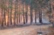 stara-planina-pozar-foto-rts-pt-1.jpg