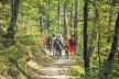 stockphotogroupofpeoplewalkingbyhikingtrailinforest1211022844.jpg