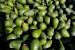 profimedia0601299063-avokado.jpg