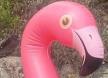 flamingo-na-naduvavanje.jpg