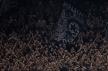 partizanbarcelona-63.jpg
