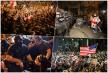 collage132.jpg